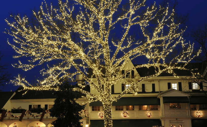 Landscape uplighting washing the facade of a West Michigan residence